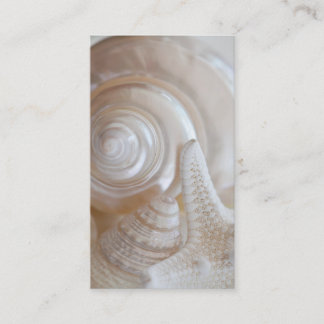 White Seashells Starfish Tropical Beach Sea Shells Business Card