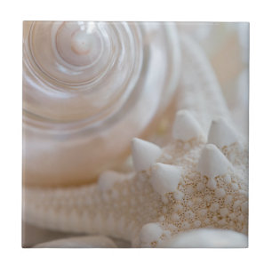 White Seashells Starfish Tropical Beach Sea Shells Tile