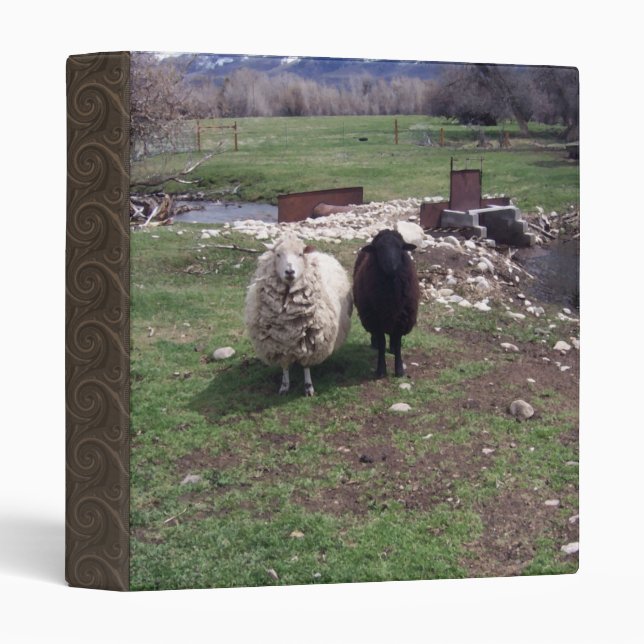White Sheep Black Sheep Binder (Front/Spine)