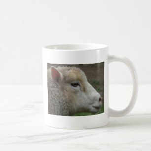 White sheep mug
