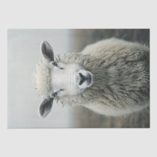 White Sheep Photo Decoupage Tissue Paper