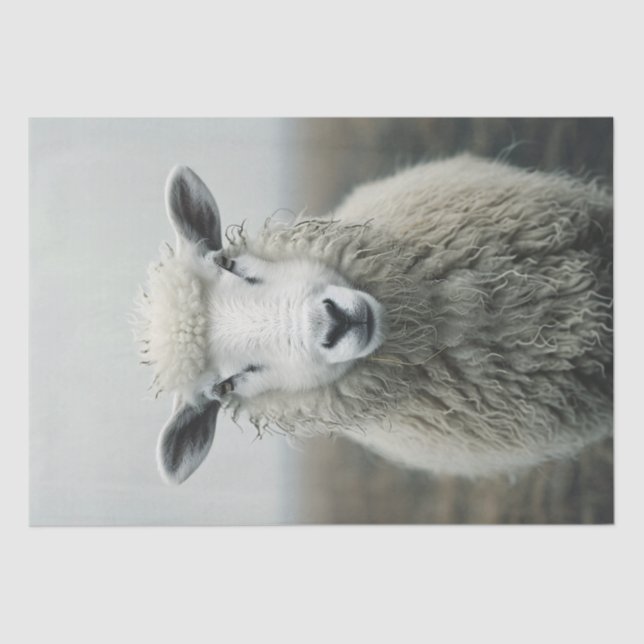 White Sheep Photo Decoupage Tissue Paper (Front)