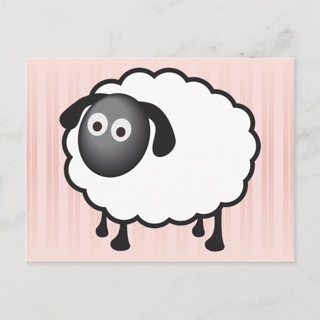 White Sheep Postcard (Front)