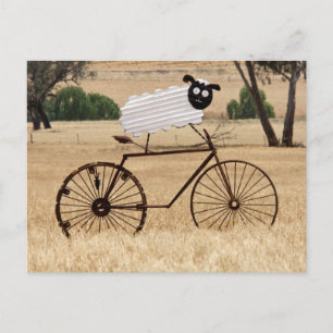 White Sheep Thrills Postcard