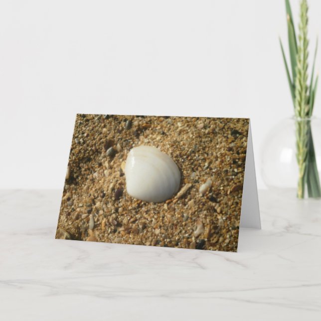 White Shell on the Beach Card (Front)