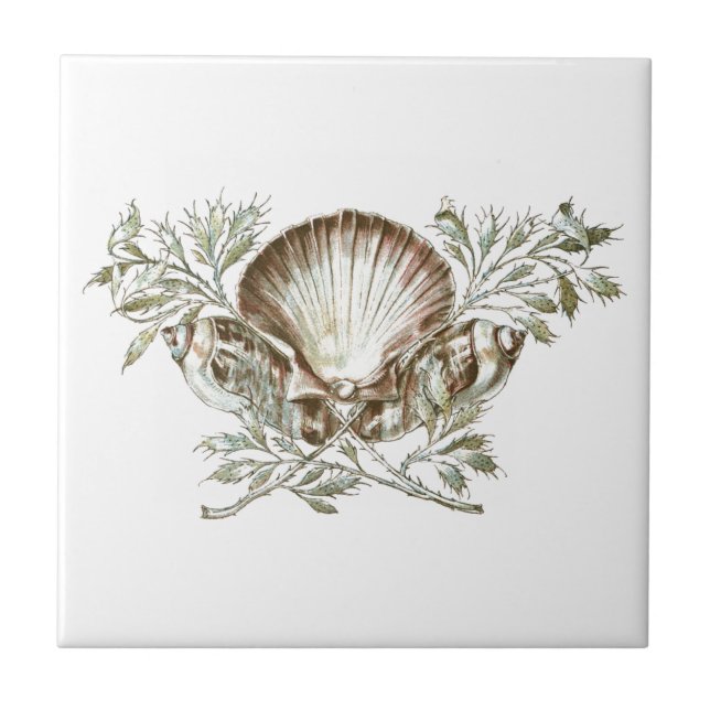 White Shell Tile (Front)