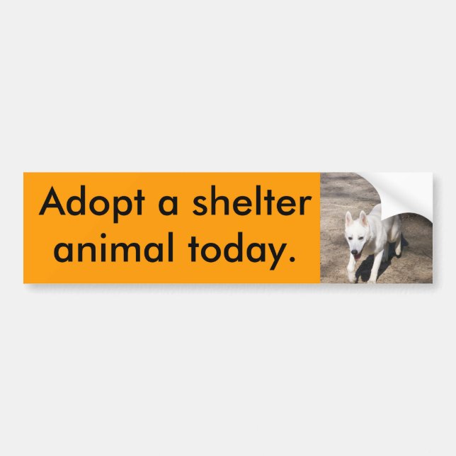 White Shepherd Bumper Sticker (Front)