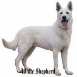 White Shepherd Photo Sculpture<br><div class="desc">Help White Shepherd Rescue by purchasing our products.</div>