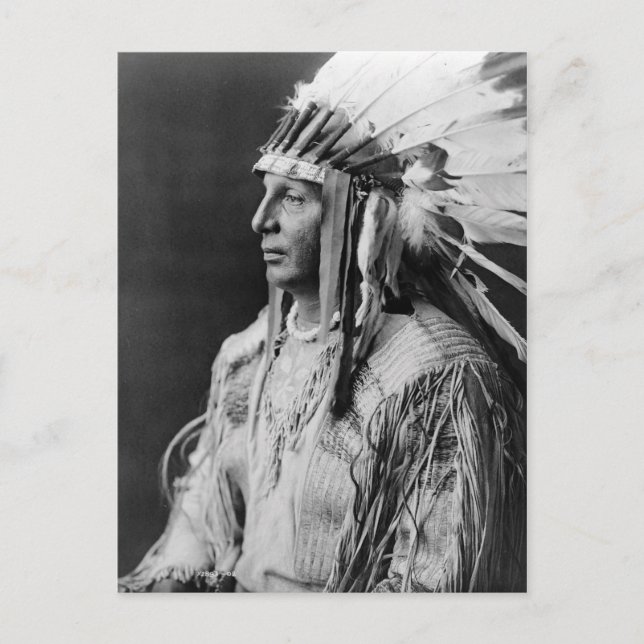 White Shield Postcard (Front)