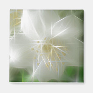 White Shiny Jasmine Magnet