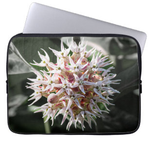 White Showy Milkweed, Wildflower Photography Laptop Sleeve