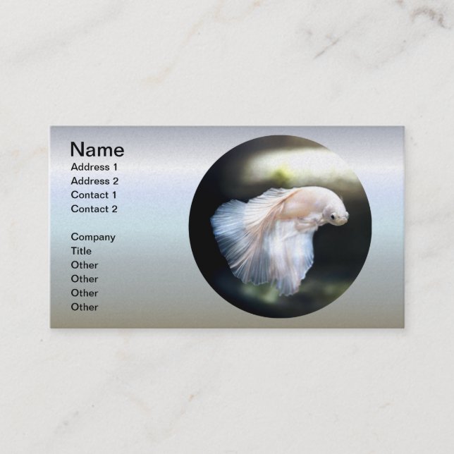 White Siamese Fighting Fish Business Card (Front)