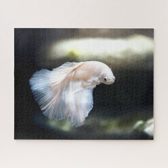 White Siamese Fighting Fish Jigsaw Puzzle (Horizontal)