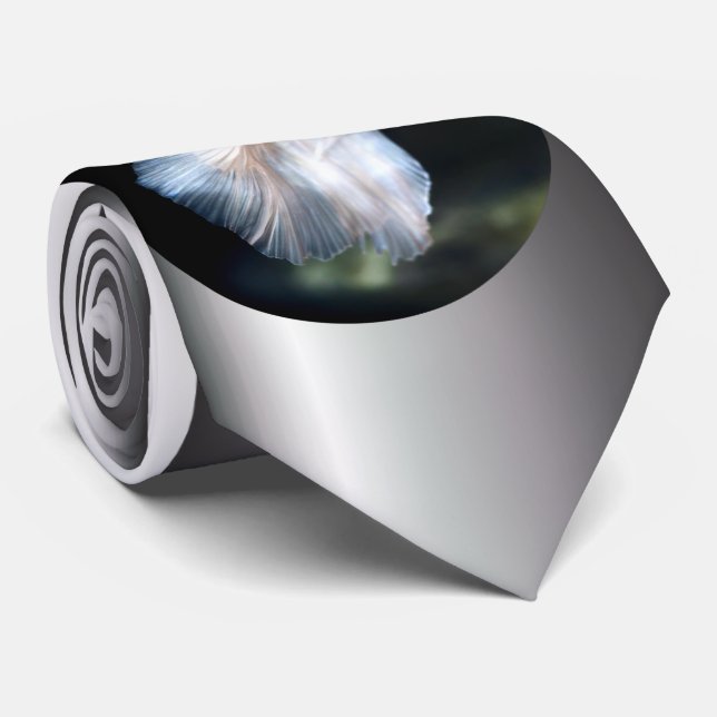 White Siamese Fighting Fish Tie (Rolled)