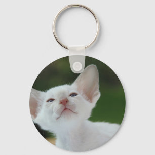 White Siamese kitten Keychain