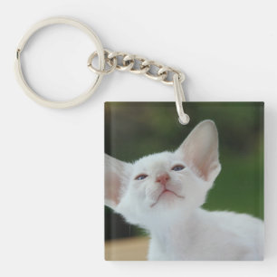 White Siamese kitten Keychain