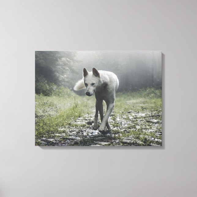 White Siberian Husky Canvas Print (Front)
