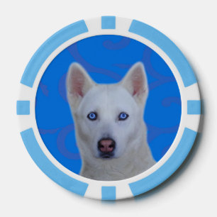 White Siberian Husky Clay Poker Chips, Blue Stripe Chips