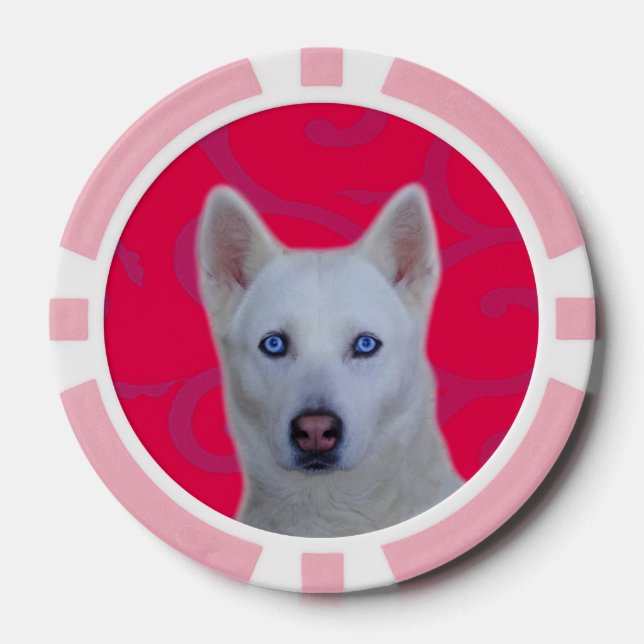 White Siberian Husky Clay Poker Chips, Pink Stripe Poker Chips (Front)