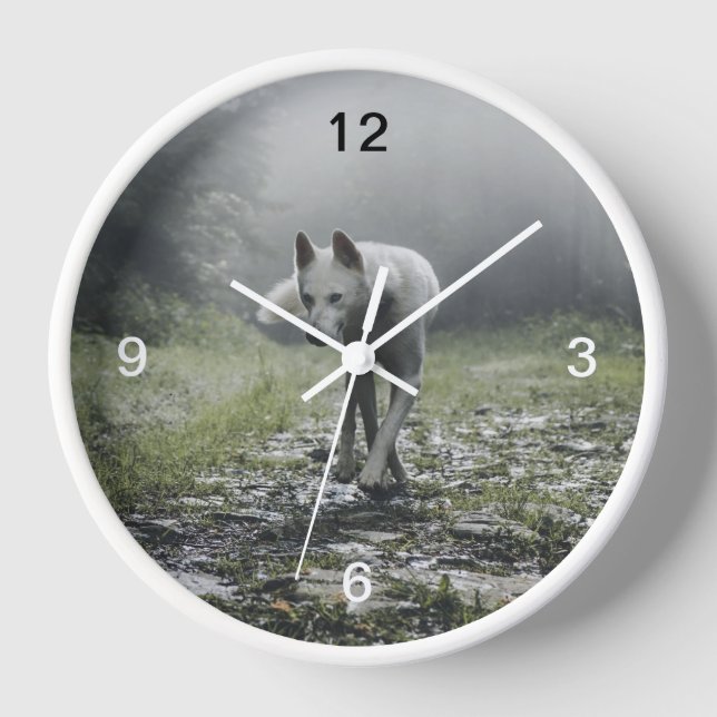White Siberian Husky Clock (Front)