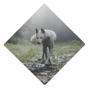 White Siberian Husky Graduation Cap Topper
