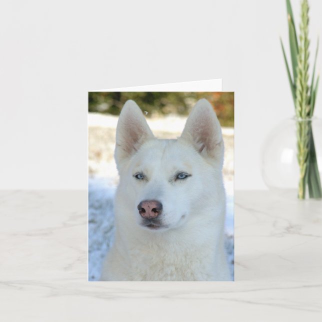 White Siberian Husky notecard or greeting card (Front)