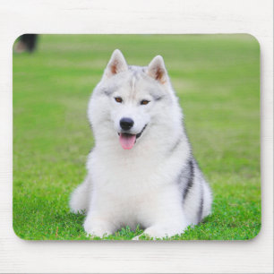 White Siberian Husky Puppy on Green Grass Field Mouse Pad