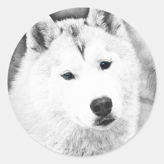 White Siberian Husky w/ Blue Eyes Fine Art Sketch Classic Round Sticker (Front)