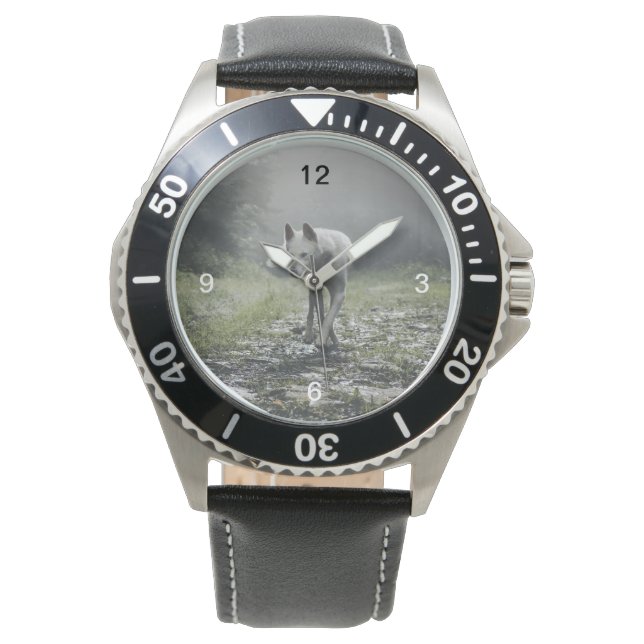 White Siberian Husky Watch (Front)