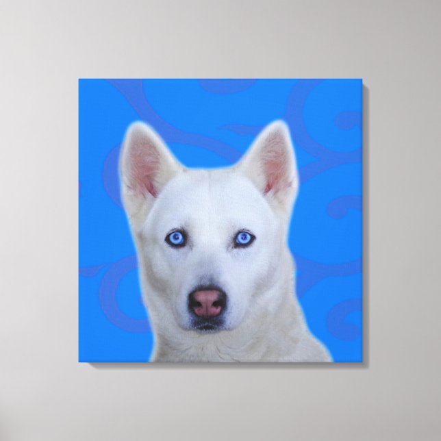 White Siberian Husky Wrapped Canvas (Front)