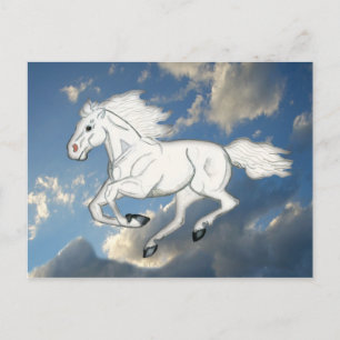 White Sky Horse Postcard