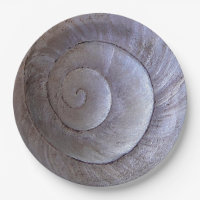 White snail shell