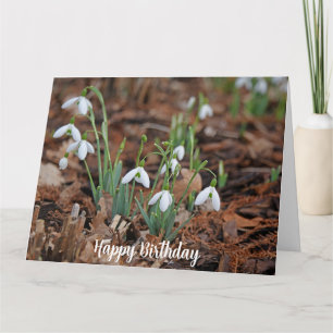 White Snow Drop Celebration Birthday Card