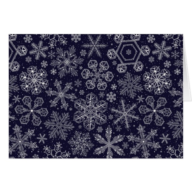 White Snowflakes on blue (Front Horizontal)