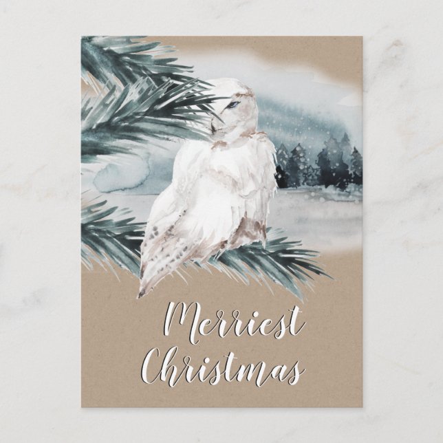 White Snowy Owl Blue Spruce Branch Woodland Scene Postcard (Front)