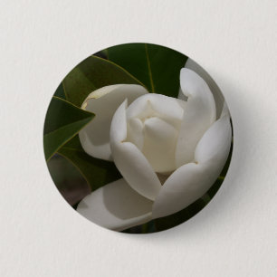 white southern magnolia flower bud 2 inch round button