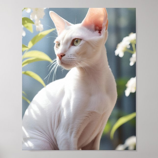 White Sphinx Cat and Flowers Poster (Front)