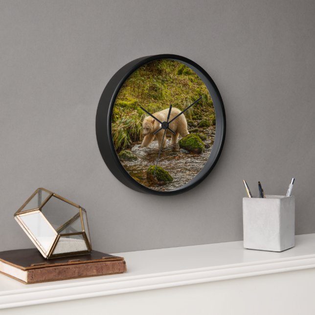 White Spirit Bear Hunts for fish on Riordan Creek Clock (Office)
