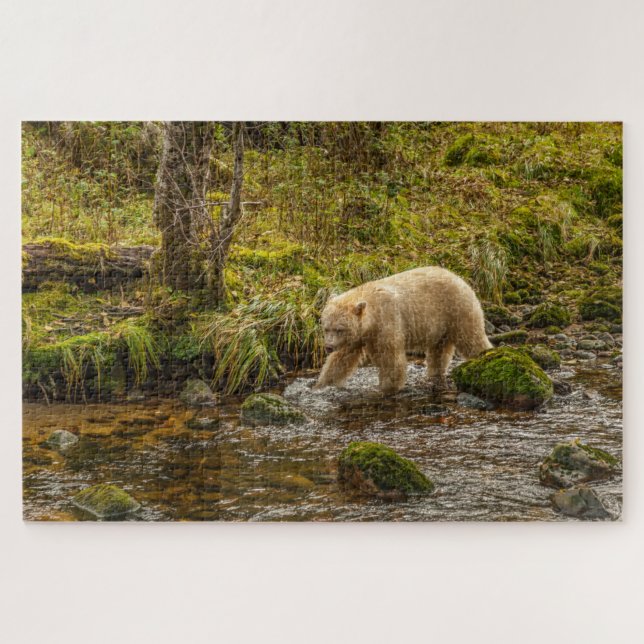 White Spirit Bear Hunts for fish on Riordan Creek Jigsaw Puzzle (Horizontal)