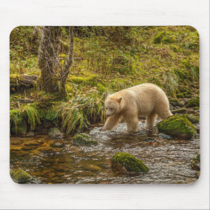 White Spirit Bear Hunts for fish on Riordan Creek Mouse Pad