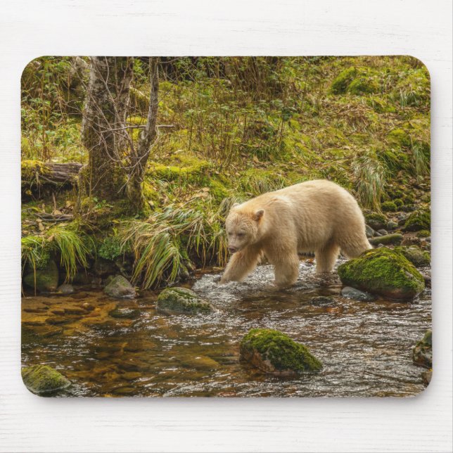 White Spirit Bear Hunts for fish on Riordan Creek Mouse Pad (Front)