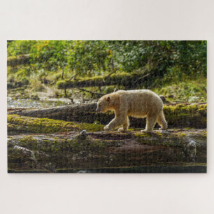 White Spirit Bear Hunts Jigsaw Puzzle