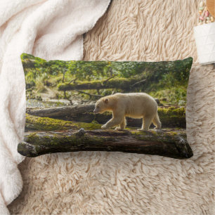 White Spirit Bear Hunts Lumbar Pillow