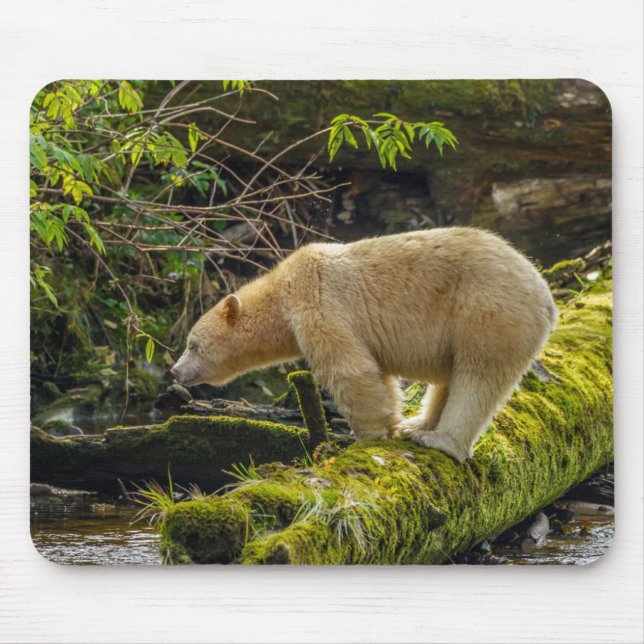 White Spirit Bear Mouse Pad (Front)