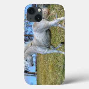 White Spirited Horse Equine Photo on a BC Ranch iPhone 13 Case
