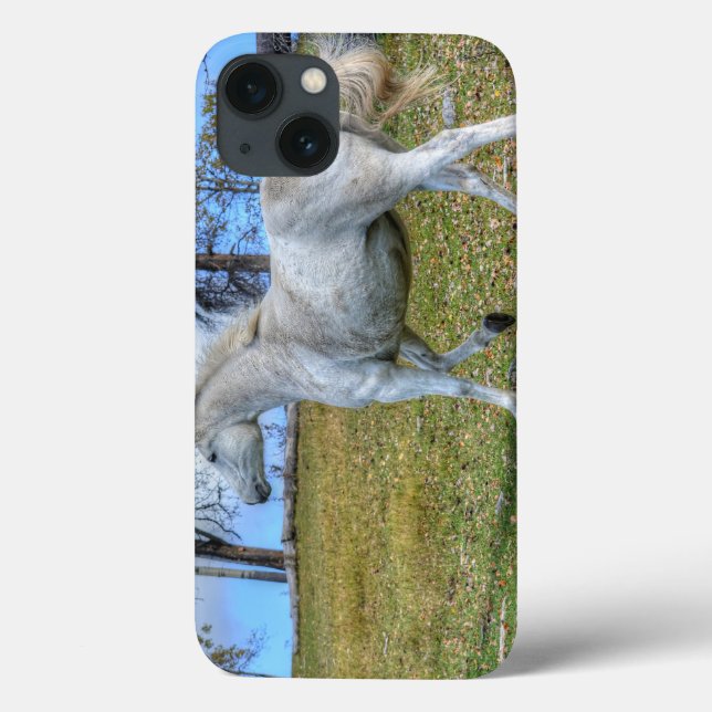 White Spirited Horse Equine Photo on a BC Ranch Case-Mate iPhone Case (Back)