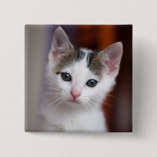 White Spotted Kitty 2 Inch Square Button