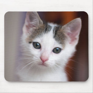 White Spotted Kitty Mouse Pad