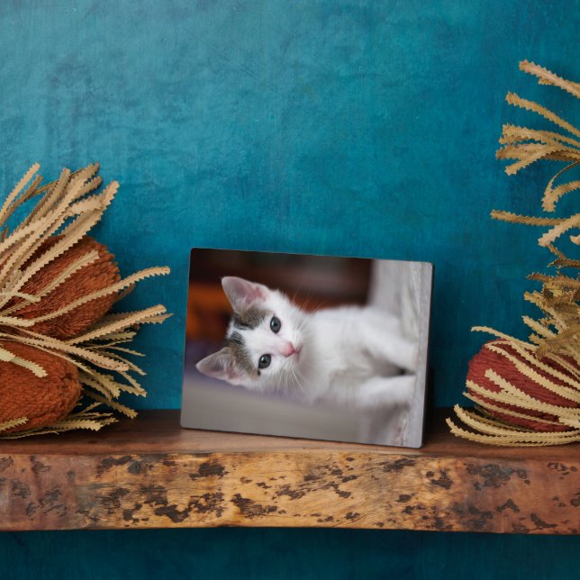 White Spotted Kitty Plaque (Side)