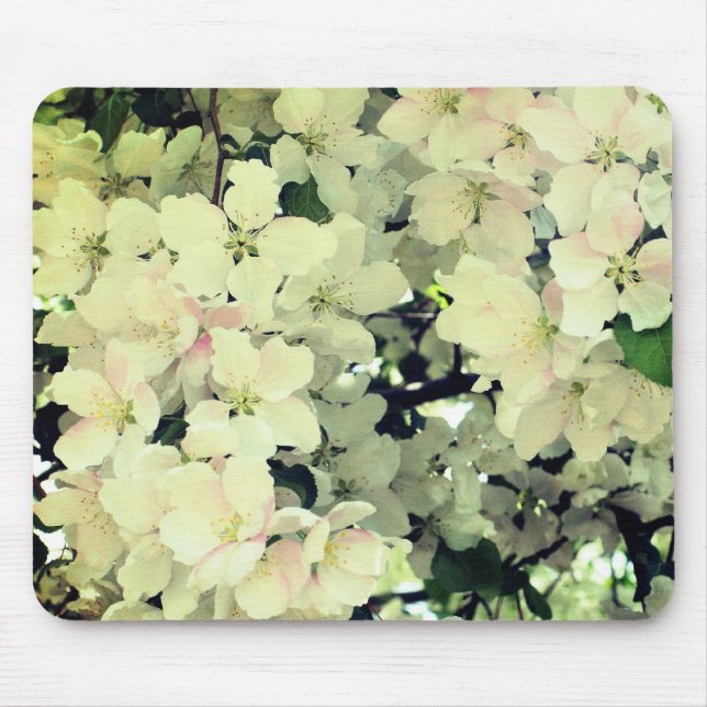 White Spring Blossoms Flower  Mouse Pad (Front)